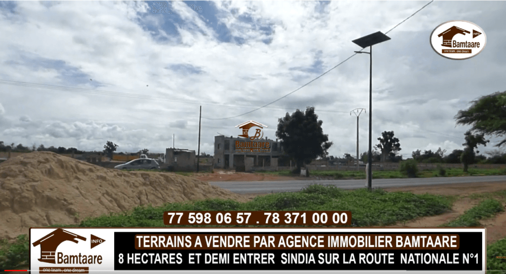 SINDIA-1024x555 -  Bamtaare immobilier Terrain 8,5 Hectares à Vendre - Sénégal à l'Entrée de Sindia - Immobilier Mbour Blog Terrains à vendre  - Appartement, maison, terrain