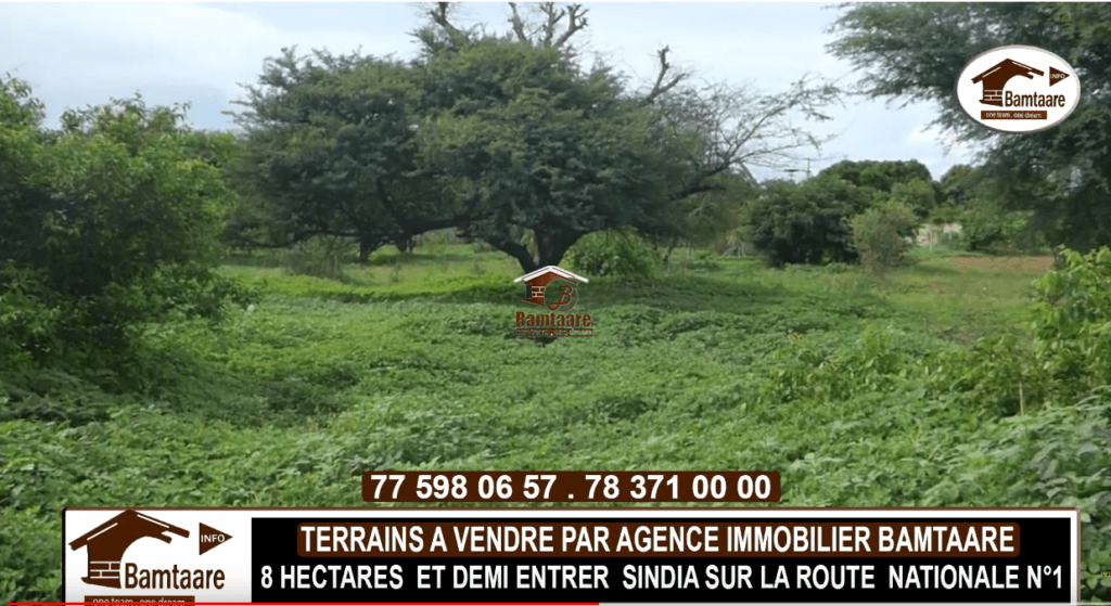 SINDIA2-1024x559 -  Bamtaare immobilier Terrain 8,5 Hectares à Vendre - Sénégal à l'Entrée de Sindia - Immobilier Mbour Blog Terrains à vendre  - Appartement, maison, terrain