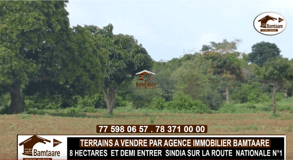 SINDIA3-1024x558 -  Bamtaare immobilier Terrain 8,5 Hectares à Vendre - Sénégal à l'Entrée de Sindia - Immobilier Mbour Blog Terrains à vendre  - Appartement, maison, terrain